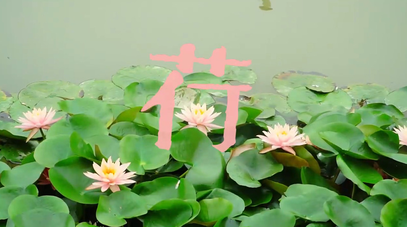 155f56ad-1dda-47ca-86a2-ed91c84368bf_s