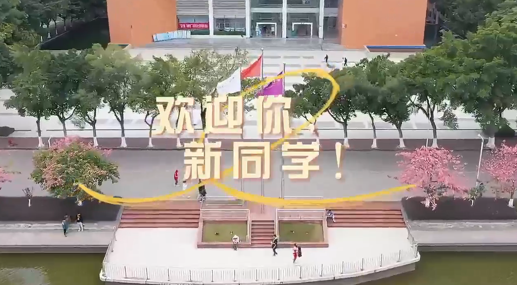 ffeb5416-ace6-4678-89c0-5df0eb86271d_s