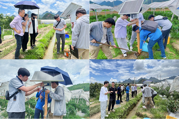 0967a599-6e28-4d52-bb20-2bf5fac690ea 0967a599-6e28-4d52-bb20-2bf5fac690ea