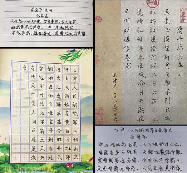 3e97aff6-3609-48fd-874f-fa2b557b7381