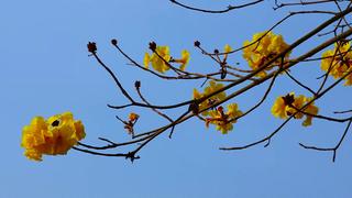 e37edb77-722c-4cdd-9c2c-d21a35158443_s