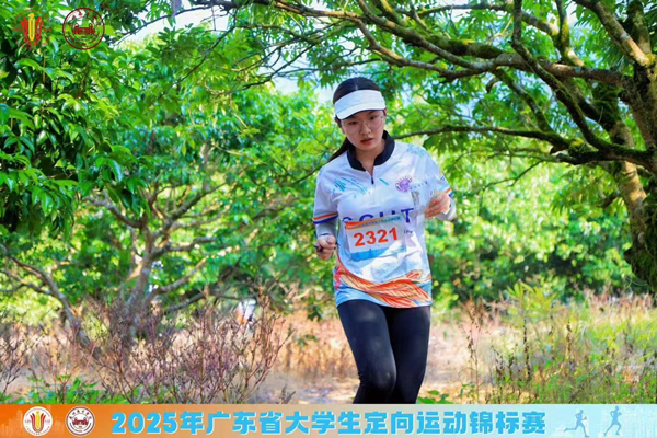 628e827a-bf48-443b-8392-d4a597799ddf 628e827a-bf48-443b-8392-d4a597799ddf