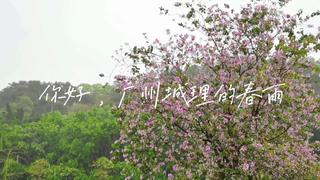 339eb86c-c52c-4554-a8b8-5235bc691767_s